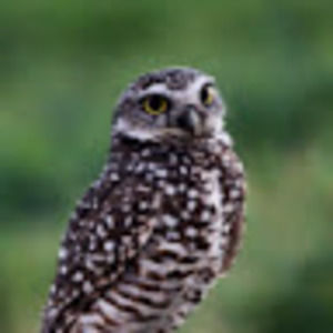 Meet your Posher, Colleen